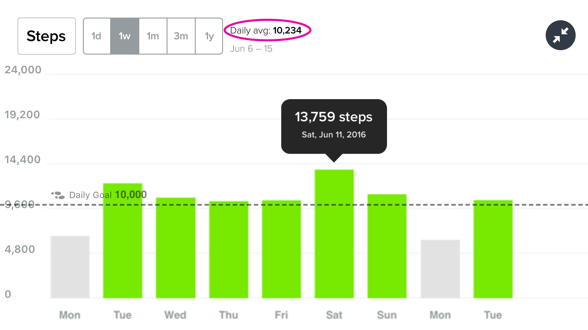 fitbit daily step dashboard